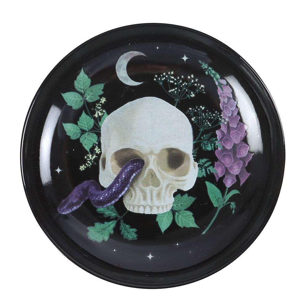Something Different - Venom & Vines Skull Schmuckschale - Mehrfarben
